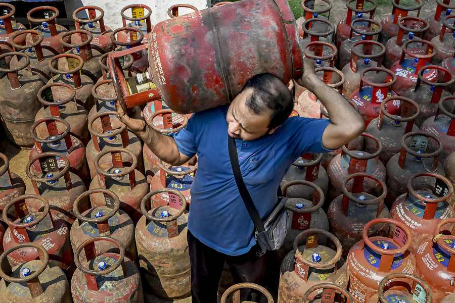 A worker arranges cylinders amid ongoing LPG crisis, in Nadia, Saturday, March 14, 2026.