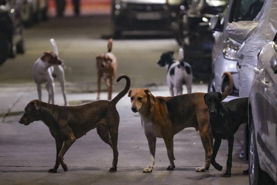 Representational image