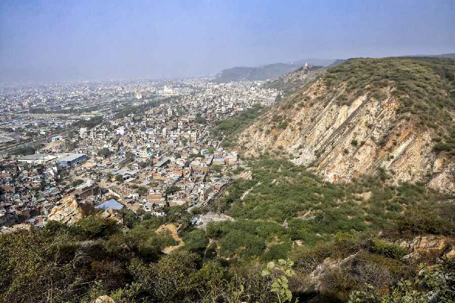 Aravalli hills