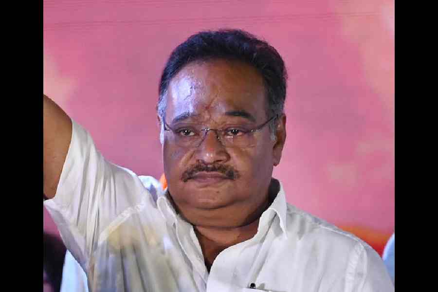 Bengal SIR voter verification