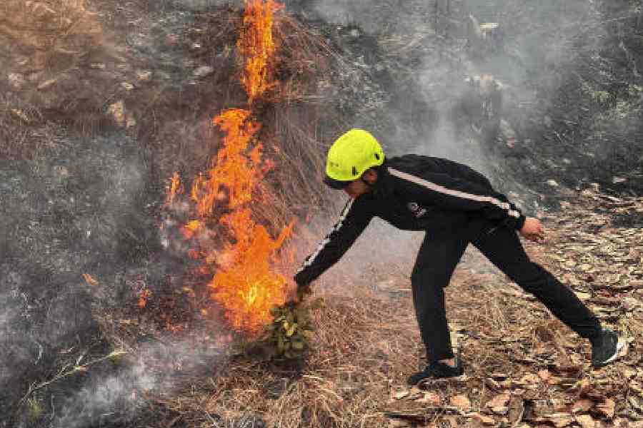 Uttarakhand Wildfires 70 Last Month