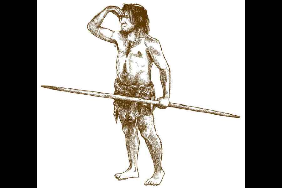 Neanderthal DNA study