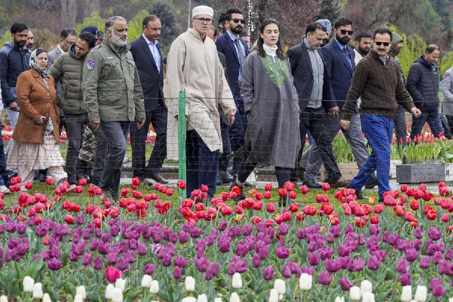 Asia\'s largest tulip garden in Srinagar open for tourist
