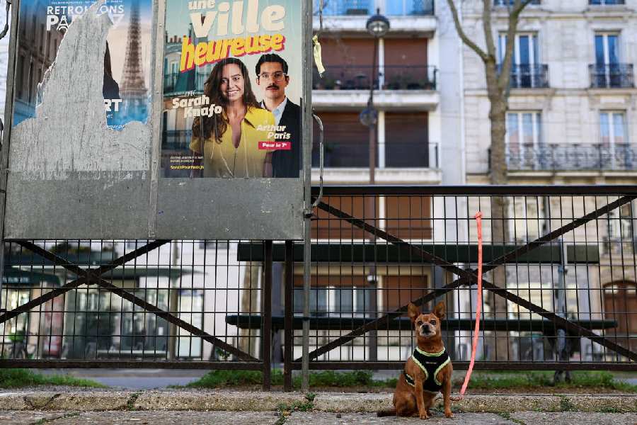 A dog waits outside a polling station for his owner during the first round of the French mayoral election, in Paris, France