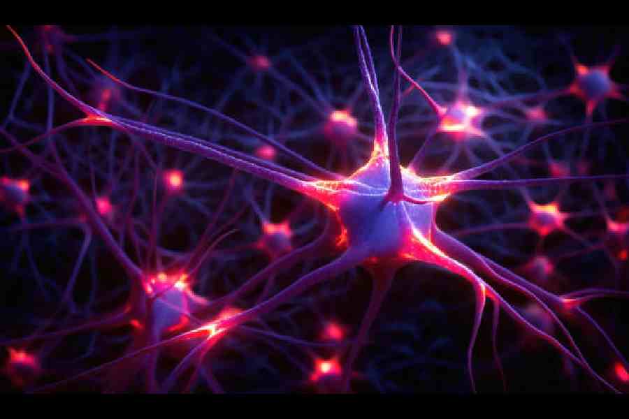 istock.com/koto_feja