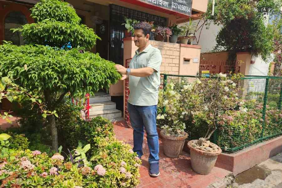 Debashis Das checks the leaves of the plants outside his house.