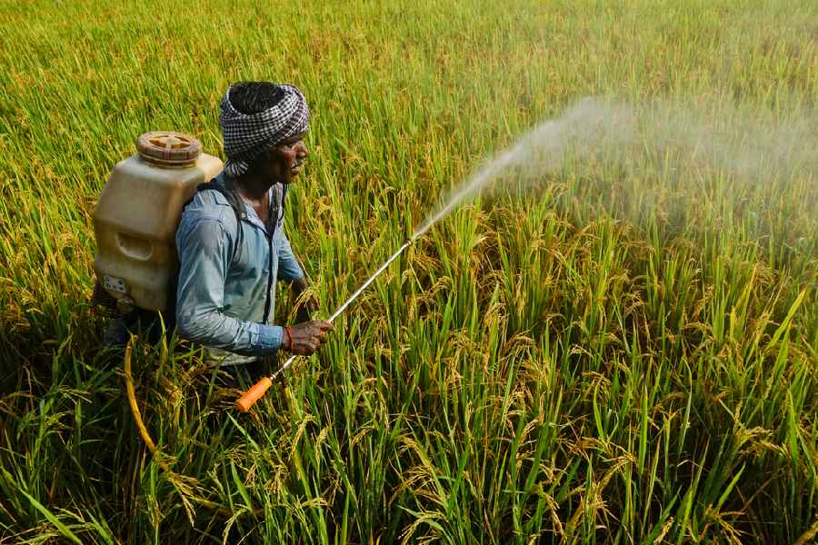 Representational image