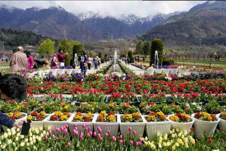 Kashmir Travel Mart 2026 Omar Abdullah 250 stakeholders April 14