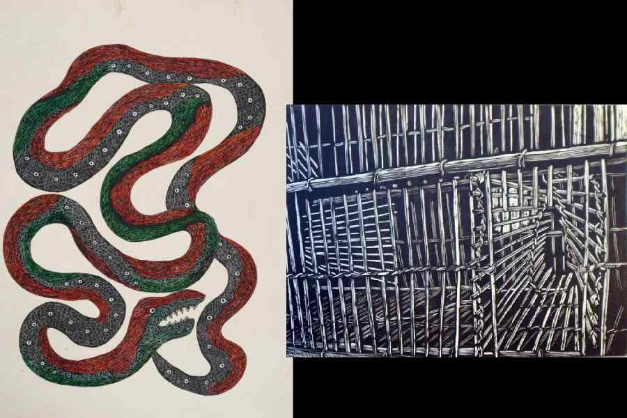 An artwork by Nagji Patel and Purabi Jana’s Containment