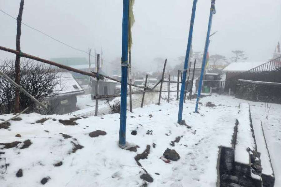Sandakphu snowfall Darjeeling latest news