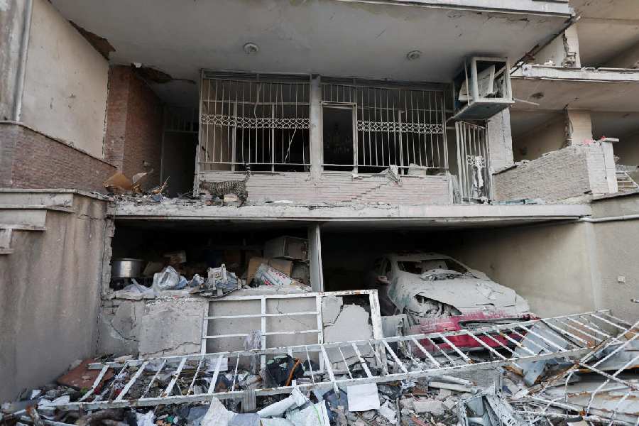 A cat looks for food in a house which was destroyed by a strike, in Tehran.