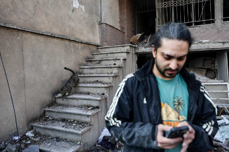 A cat walks next to Parsa, an Iranian man, as he looks at a smartphone after his house was damaged by a strike, amid the US-Israeli conflict, in Tehran, Iran.