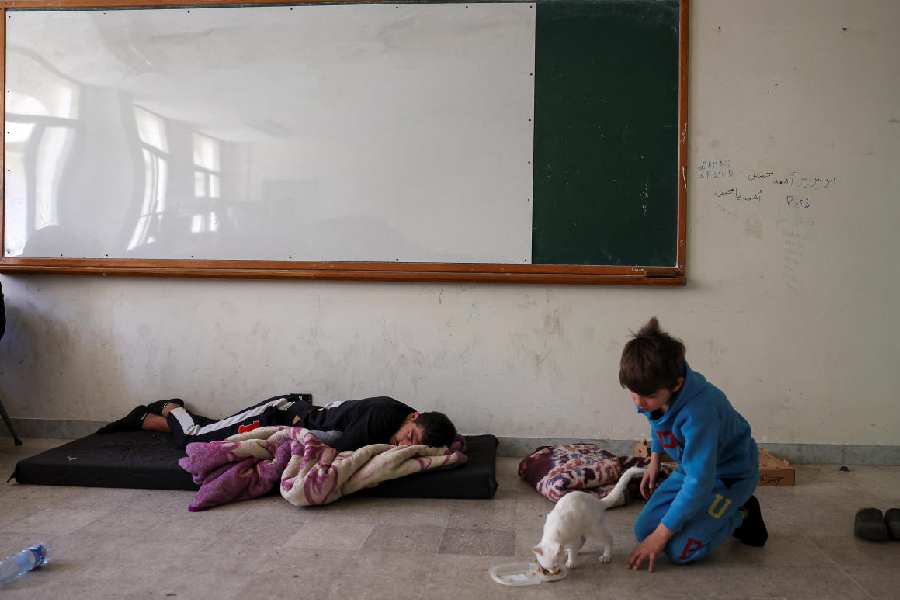 A child watches a cat eating in a school turned shelter for people displaced from Beirut's southern suburbs, following an escalation between Hezbollah and Israel, in Beirut, Lebanon.