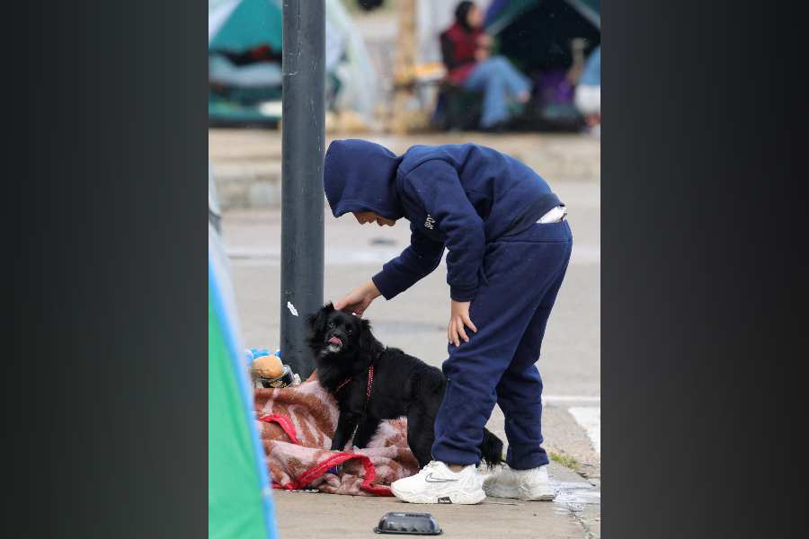 A child pets a dog amid shelters of displaced people during Eid al-Fitr prayers, following an escalation between Hezbollah and Israel amid the US-Israeli conflict with Iran, in Beirut, Lebanon.