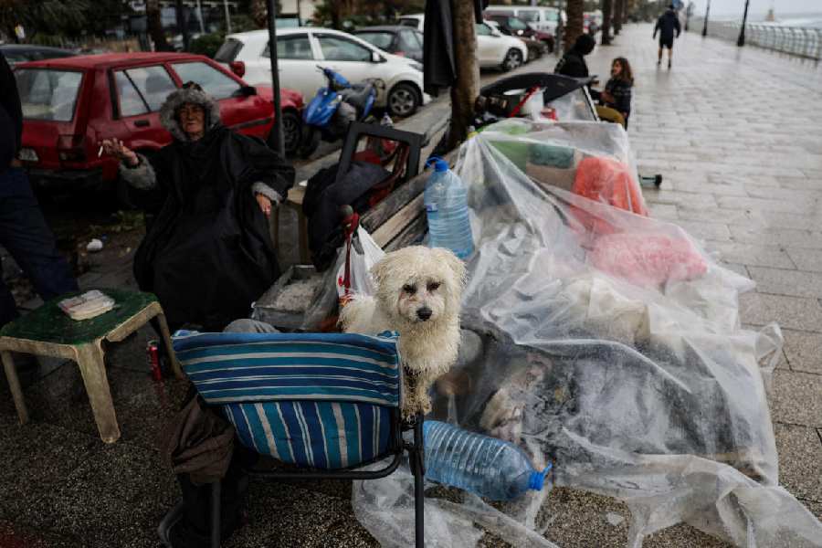 A dog looks next to displaced people at the corniche after rainfall, following an escalation between Hezbollah and Israel, amid the US-Israeli conflict with Iran, in Beirut, Lebanon, March 15, 2026.
