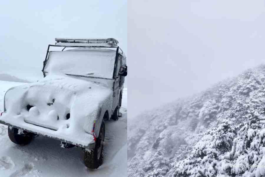 Snow covered Landrover in Sandakphu, A view of the snow-covered trees