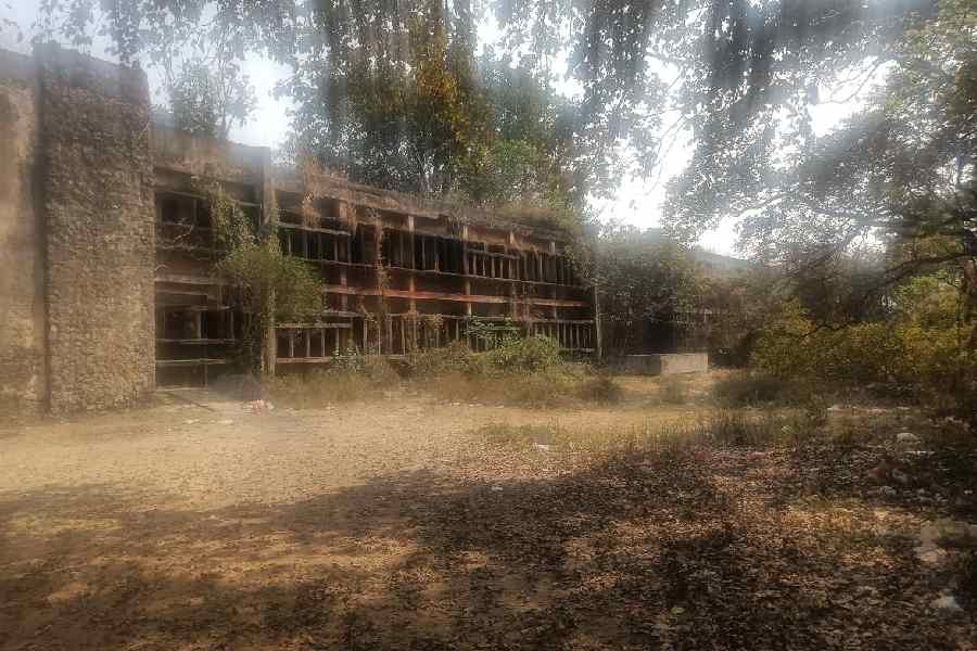 Shivaji Road Boys High School, one of the top schools in the 1980s and the 1990s, is now covered in overgowth