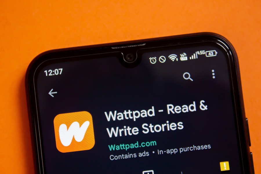 Sites like Fanfiction.net and Wattpad were the go-to places for fans in the early 2000s.