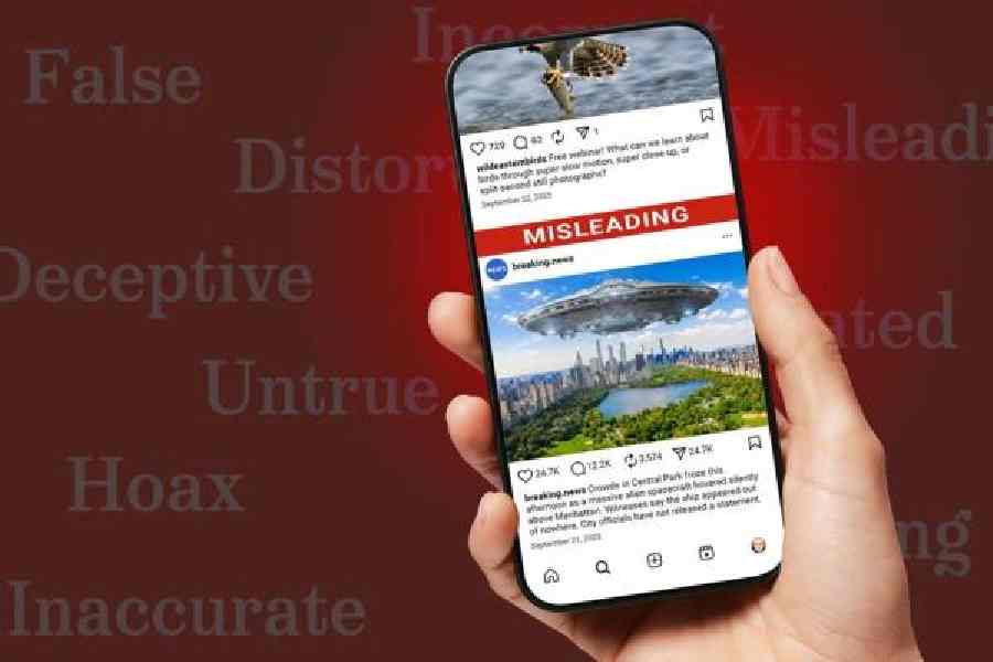 social media misinformation profit model