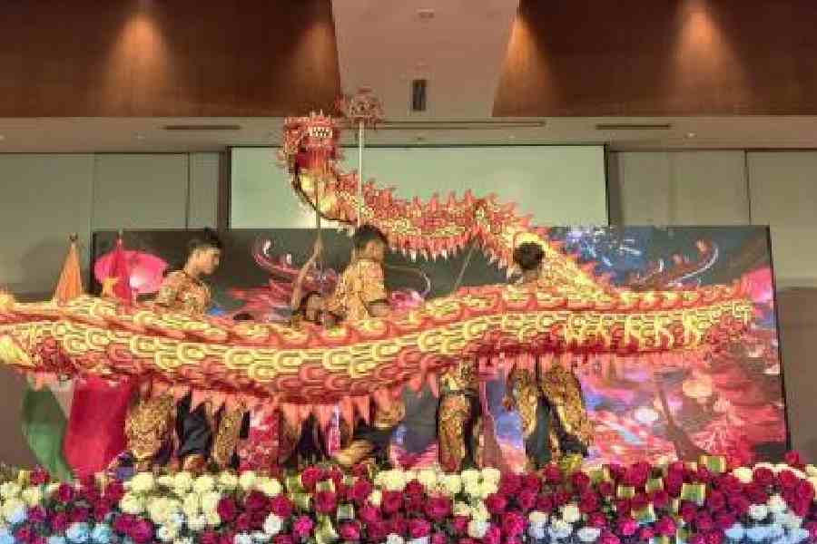 Members of India Hong De perform a dragon dance