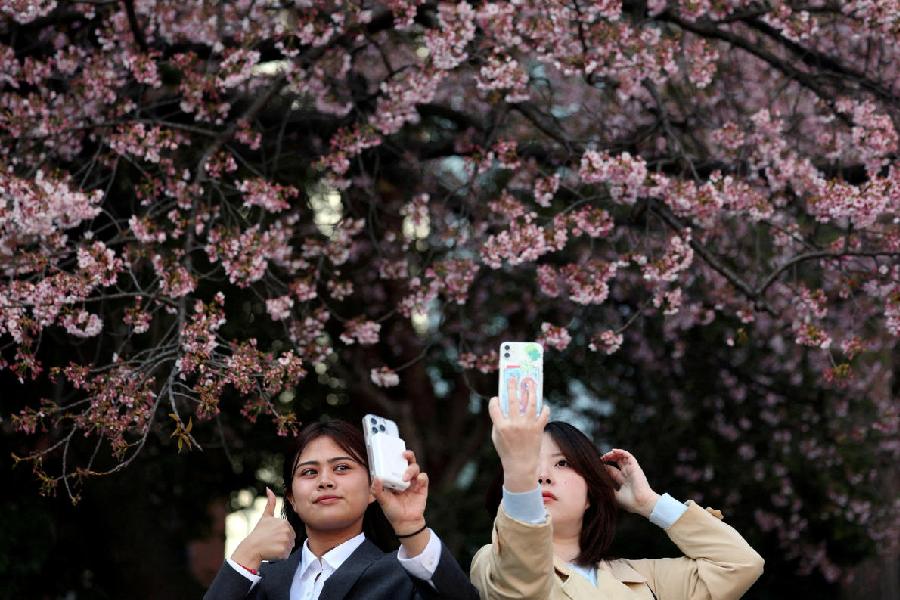 Visitors take selfies in front of the early-flowering cherry blossoms at Ueno Park in Tokyo, Japan, March 17, 2026.