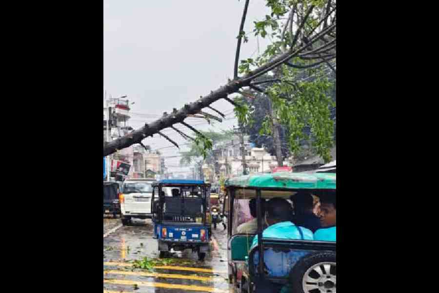 North Bengal Sikkim heavy rainfall