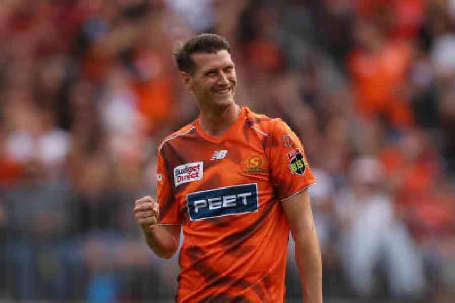 David Payne during the BBL this year. He has come in for Jack Edwards in SRH. (Getty Images)