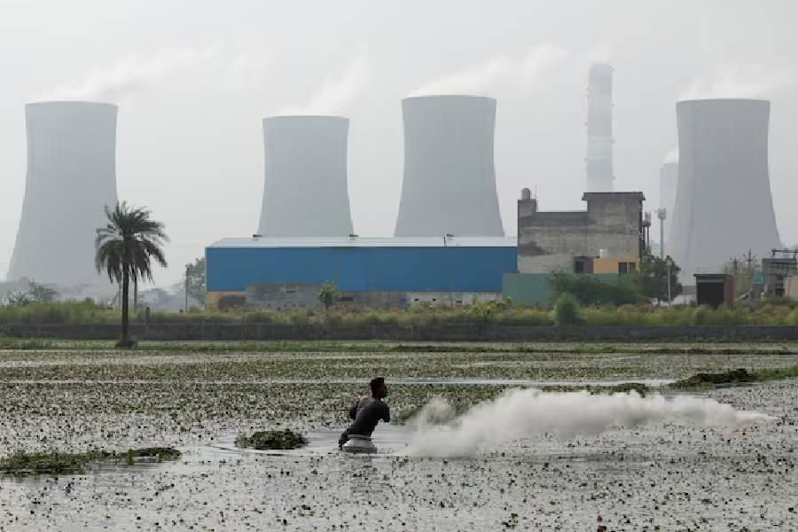A farmer sprinkles pesticide on the field as smoke rises from the chimneys of a coal power plant as the demand for coal-based power plants has risen due to the prolonged heatwave spells, in Dadri, India, June 20, 2024.