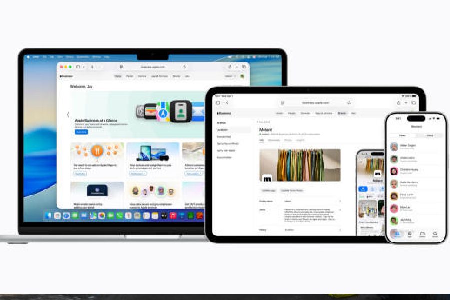 Apple Business — a new platform that includes key services companies need to run and grow Picture