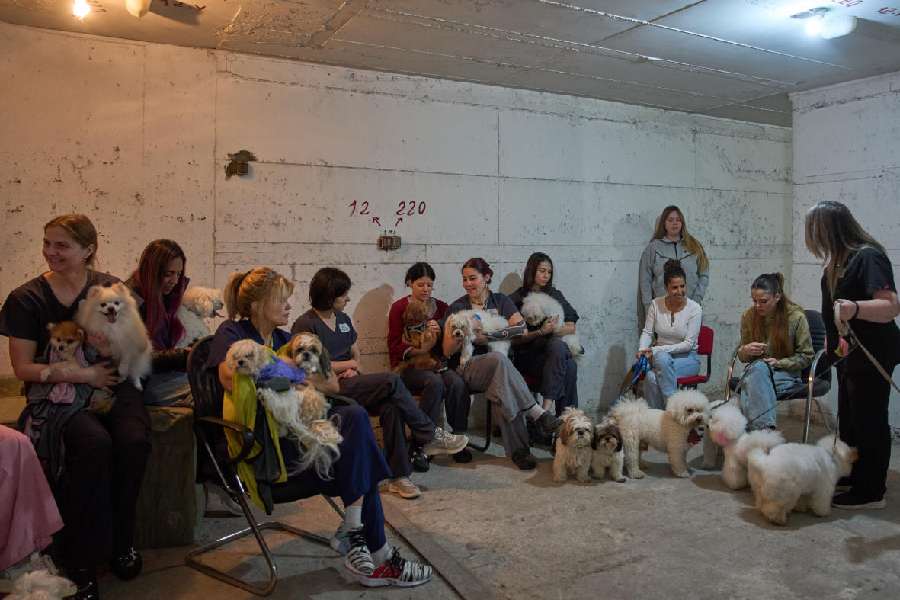 Dog salon workers take cover with the dogs in a bomb shelter as air raid sirens warn of incoming Iranian missile strikes in Ramat Gan, Israel, Wednesday, March 25, 2026.