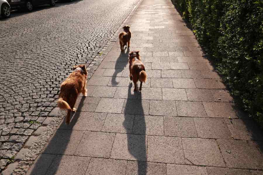 Representational image