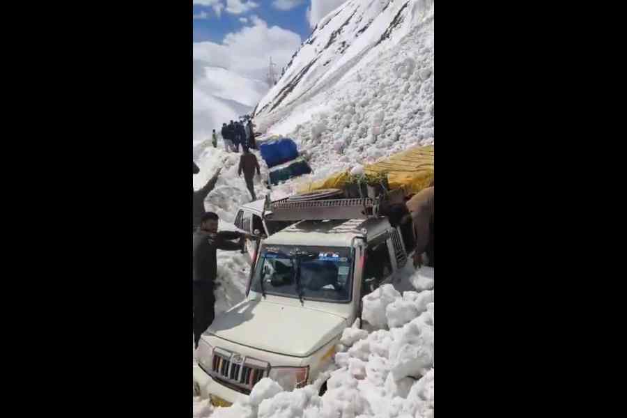 Vehicles trapped in snow after the avalanche struck Zoji La on Friday
