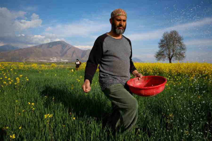 US?led war in Iran disrupts global fertiliser supply chain