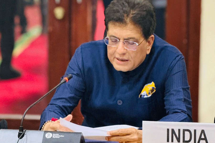 Union Minister of Commerce and Industry Piyush Goyal at the WTO's 14th Ministerial Conference (MC14) in Cameroon.