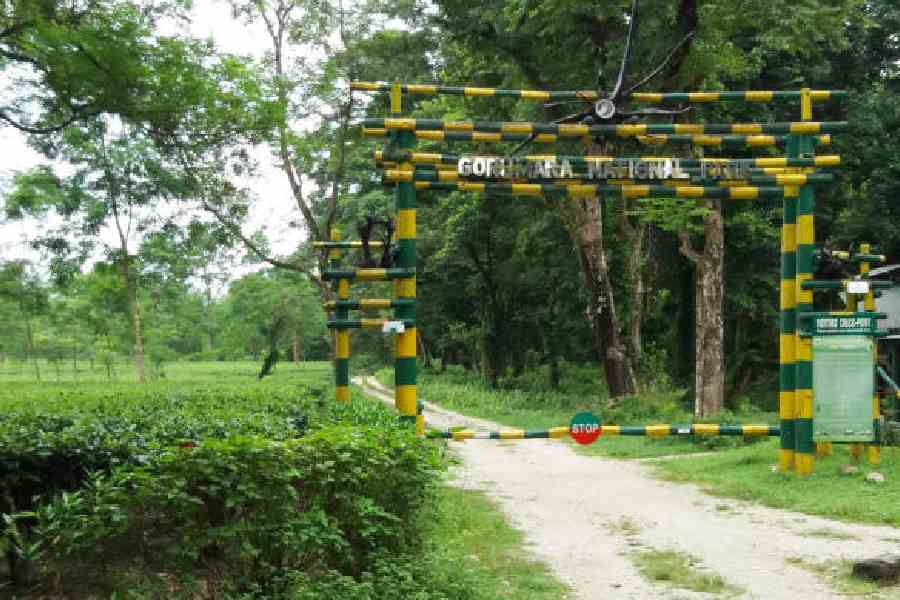 The entrance to the Gorumara National Park in Jalpaiguri district.File picture
