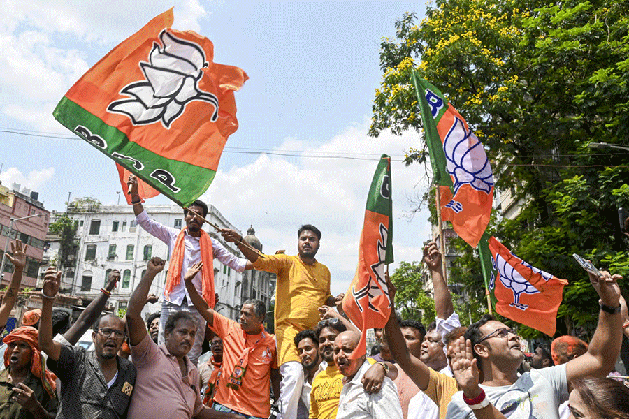 BJP celebrations