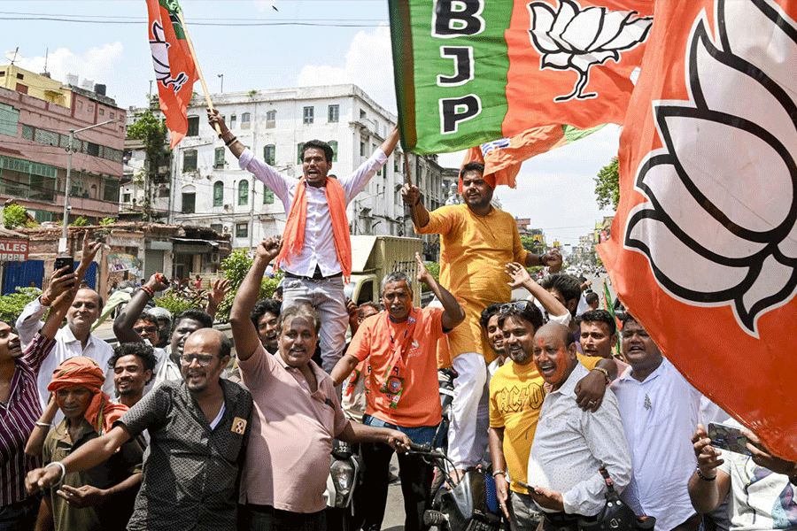 BJP celebrations