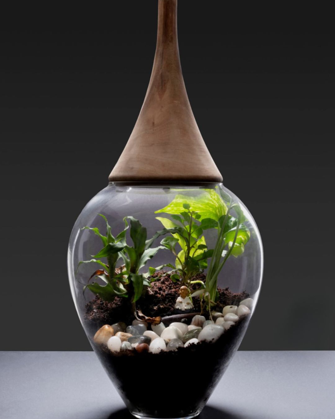 “Unlike bouquets made of dead flowers, a terrarium contains plants that are alive and that keep growing. What you have is an ecosystem,” said Swastika Mukherjee 
