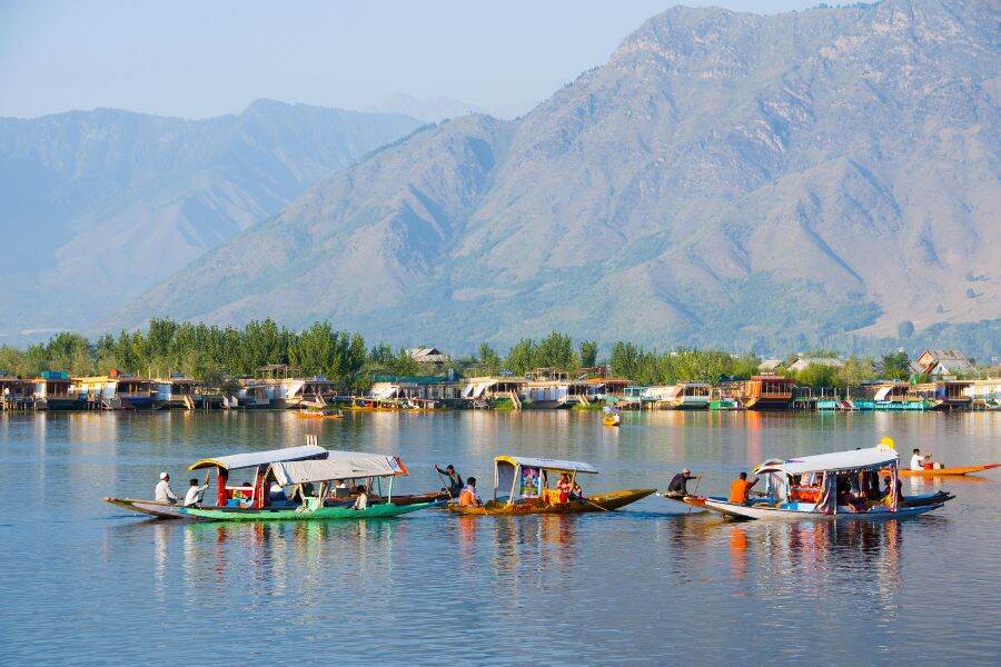 Kashmir is in high demand