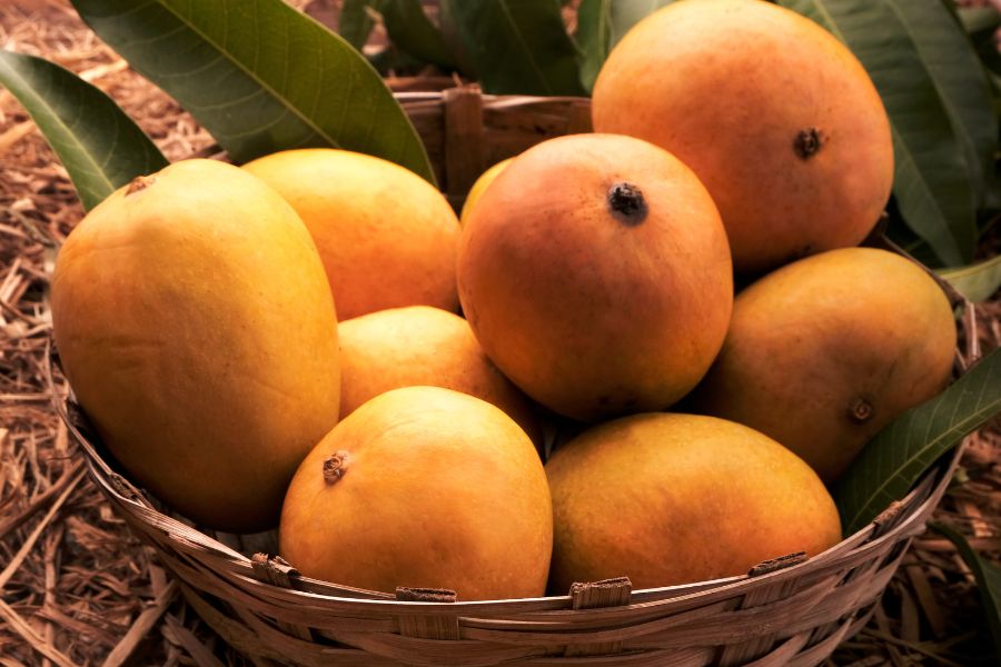How to identify authentic Alphonso mangoes?