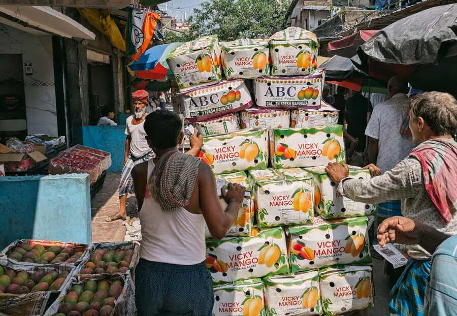 Alphonso mangoes arrive in Kolkata's Mechua Bazaar