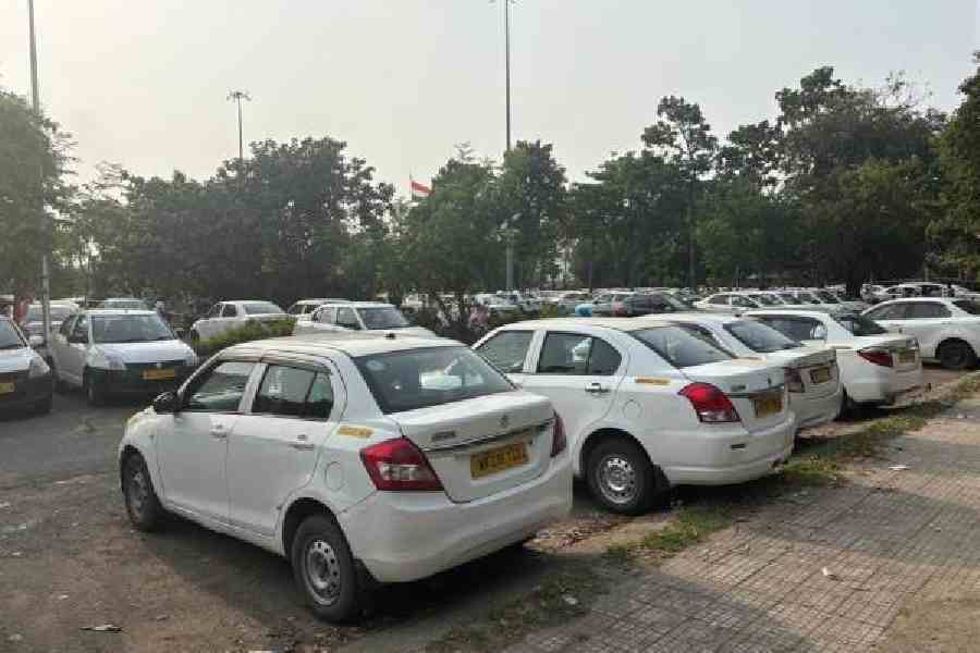 Cars parked illegally at the Calcutta airport on Friday 