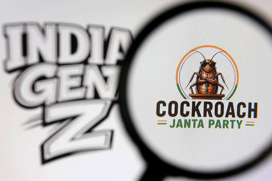 The Cockroach Janta Party and words \\