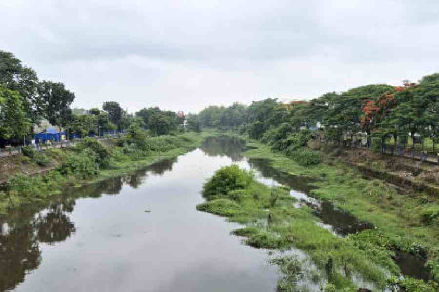 West Bengal Plans Tourism Development Along Jalpaiguri’s Karala River