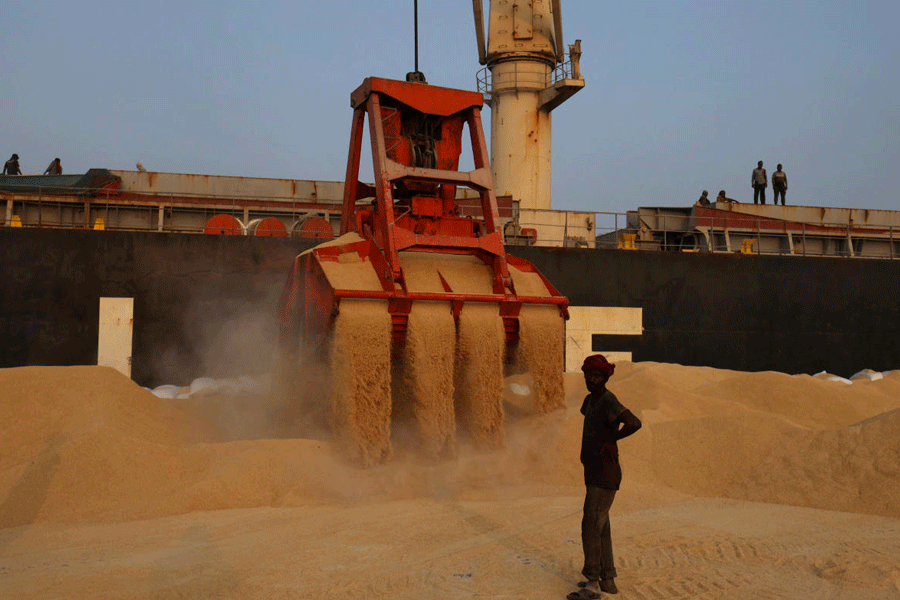 India probes soybean imports mislabelled as Niger to evade duty