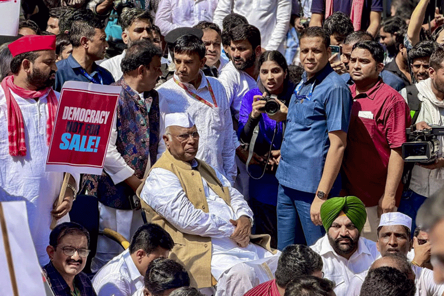 Police Detain Opposition MPs Marching to Election Commission