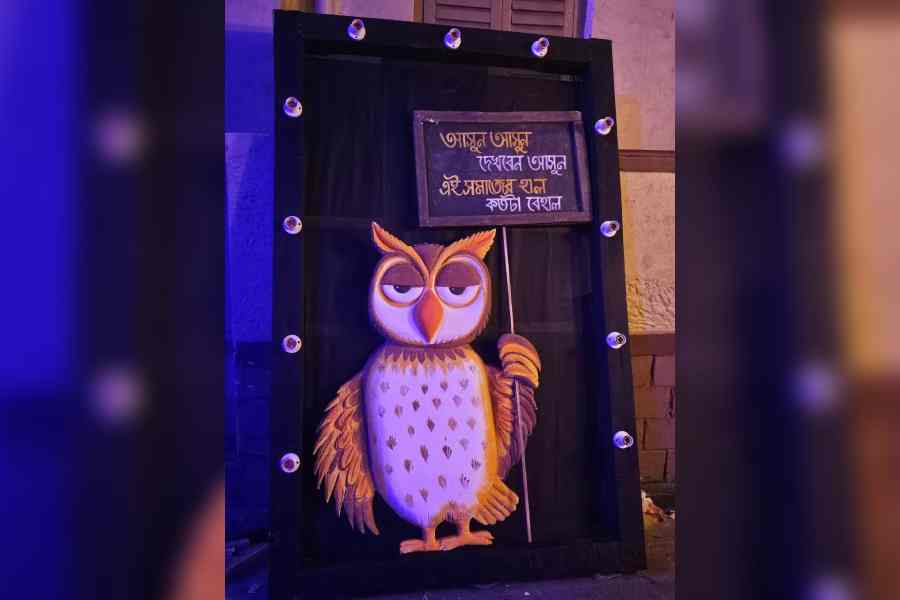 An owl at the pandal entrance holds a sign that reads: Come, come, see how dire the state of our society is