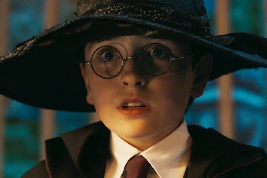Harry Potter Series Trailer Sparks Nostalgia and Backlash