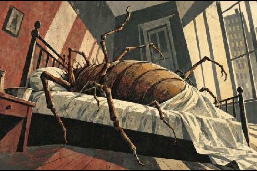 How Literature Turned the Cockroach Into a Symbol of Resistance