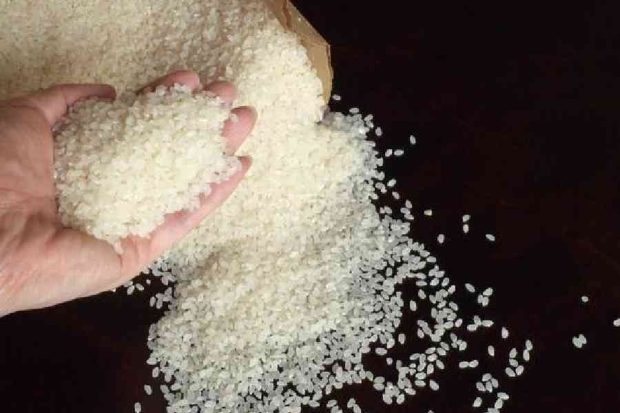 Indian Rice Exporters Pursue Turkey, Jordan Beyond Traditional Markets